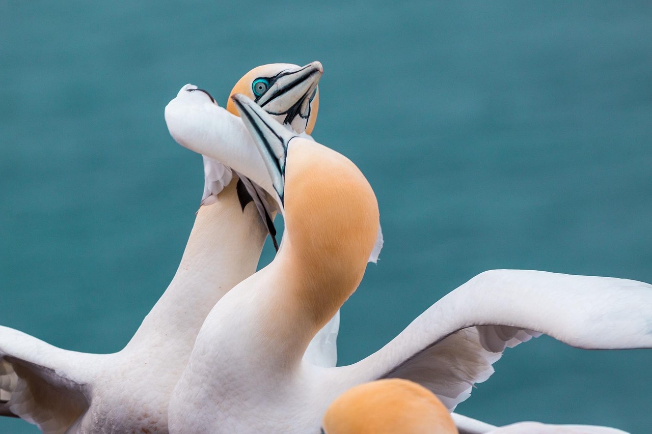 découvrez les causes, les conséquences et les solutions pour gérer efficacement une dispute au quotidien, que ce soit dans la vie personnelle ou professionnelle.