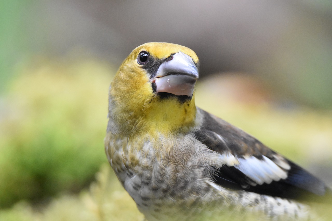 découvrez les enjeux et propositions de la réforme de la justice des mineurs : des mesures pour mieux protéger, responsabiliser et réinsérer les jeunes dans la société.